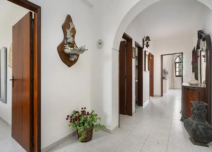 Oasis - Pool & Garden * Santa Marta